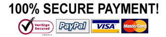 100% Secure Payment